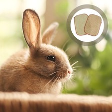  2 Pcs Rabbit Mat Small Pet Grass Cool Cushion for Pets Bunny Leaf
