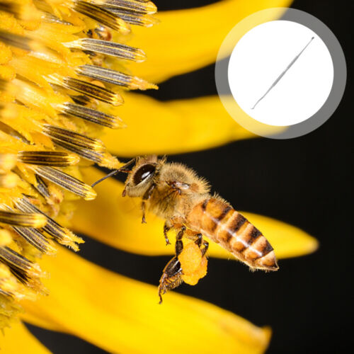  2 Pcs Aiguille Mobile De Ver Transfert D'insectes Honeycomb Double Usage - Photo 1/12