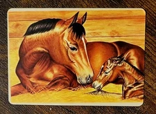 🐎 Colt Foal Horse Single Trade Swap Playing Card