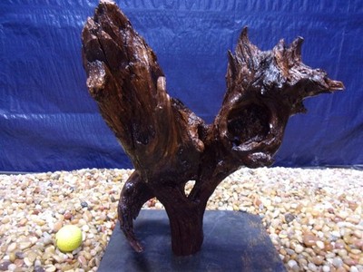 Large Driftwood Mounted on Slate 14''x13''x07'' Aquarium Reptile Natural Art