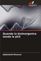 Abdelhafid Mimouni | Quando La Bioinorganica Sonda La P53 | Taschenbuch (2024)