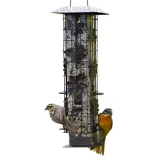 Squirrel-Be-Gone Durable Metal Squirrel-Resistant Wild Bird Feeder 2 lb Capacity