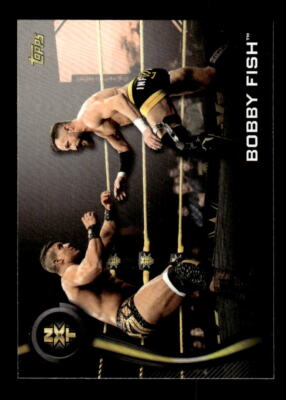 2019 Topps WWE NXT Roster #6 Bobby Fish
