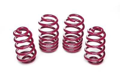 Vogtland Tieferlegungsfedern für VW Golf V Plus 1KP VA über 1020kg 35mm 950008
