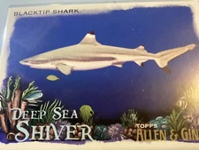 2021 Allen & Ginter Deep Sea Shiver #DSS-8 Black Tip Shark
