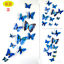 thumbnail 10  - 12pcs/set 3D Double-layer Butterfly Magnet Fixed for Home Shop School Decor