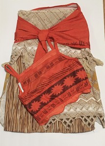 Disney Store Moana Costume Girls Dress Up 9 10 Nwt Ebay