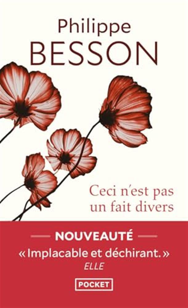Ceci n'est pas un fait divers - Besson Philippe