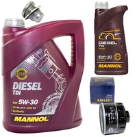MotoröL Set 5W-30 6 Liter + ÖLfilter SM 142/1 + Schraube FüR Renault Kangoo Clio