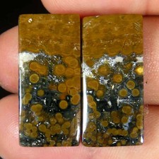 24,20 ct. Coppia di cuscini in diaspro marino naturale abbinati al 100% 12 x ...