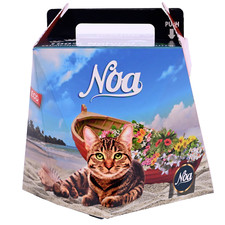 10 LB Activated Bentonite Clay Clumping Cat Litter,Unscented,Natural Eco Product