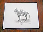 11 X 14-Original 1944 Kentucky Derby Winner "Pensive" Caufield & Shook, Inc. — photo 1