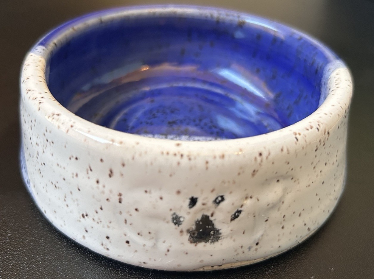 Dish Dog Cat Ceramic Bowl Small Cute Blue Feeding Care Unique