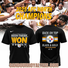 Pittsburgh Steeler 2025 Afc North Champions T-Shirt