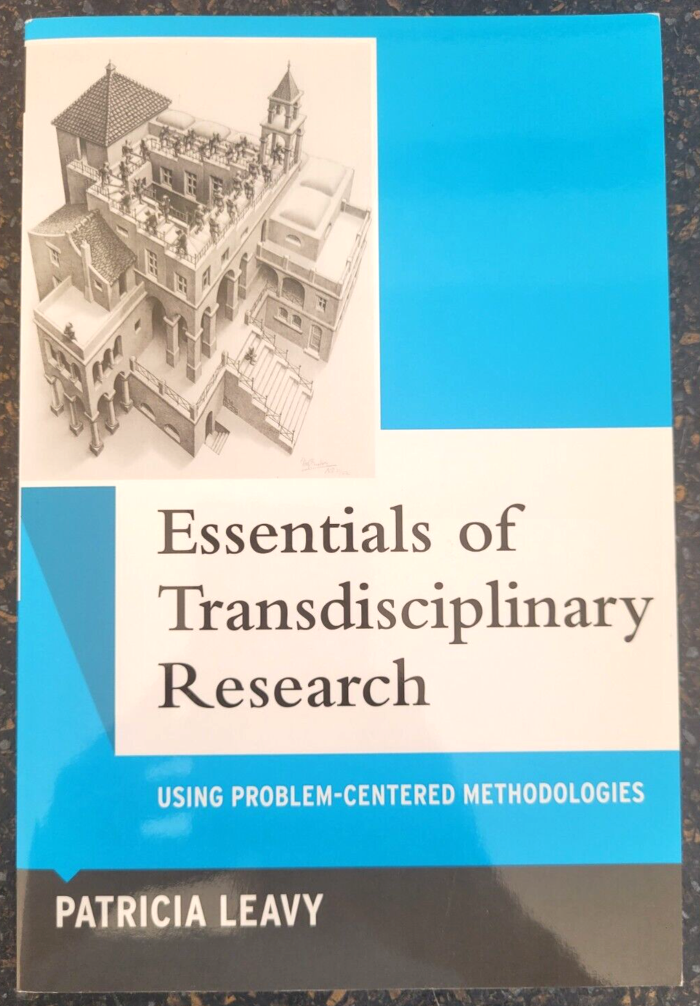 Essentials of Transdisciplinary Research by Patricia Leavy , Paperback