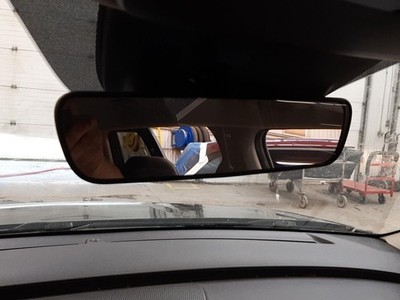 Int Rr View Mirror For Carnival Assy