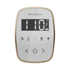 Mr Steam TempoFlex Steam Shower Control and Steamhead in White Matte Black