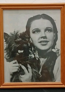 The Wizard Of Oz Framed 11"x9" Photo Dorothy Holding Toto