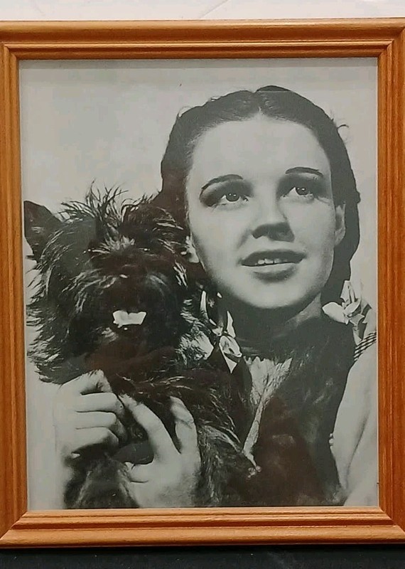 The Wizard Of Oz Framed 11"x9" Photo Dorothy Holding Toto