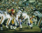 Signed 8x10 GARY CUOZZO  Minnesota Vikings Autographed photo - w/COA