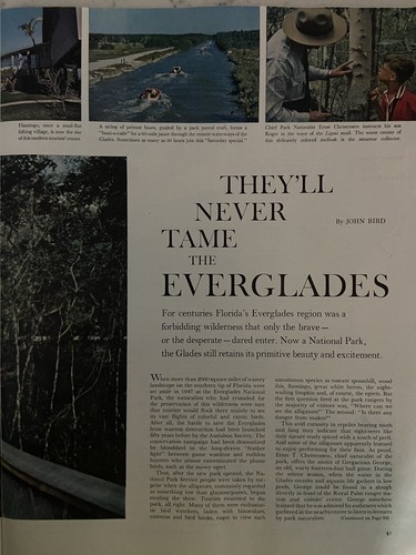 Saturday Evening Post Nov 5 1960: Richard Nixon Latin America Everglades - Picture 12 of 12