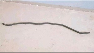 VW Golf 4 Bora Motorhaubendichtung Dichtung Motorraum