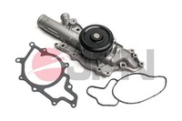 Wasserpumpe MotorküHlung JPN 10C9032-JPN FüR Mercedes Klasse W211 Model S211 CLK