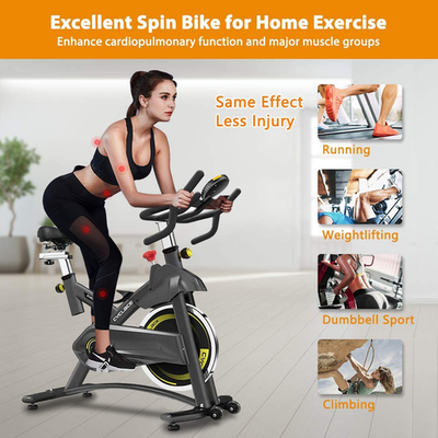 CYCLACE EXERCISE BIKE STATIONARY, 330LBS CAPACITY - BLACK
