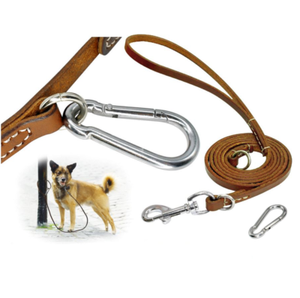 dog leads ebay