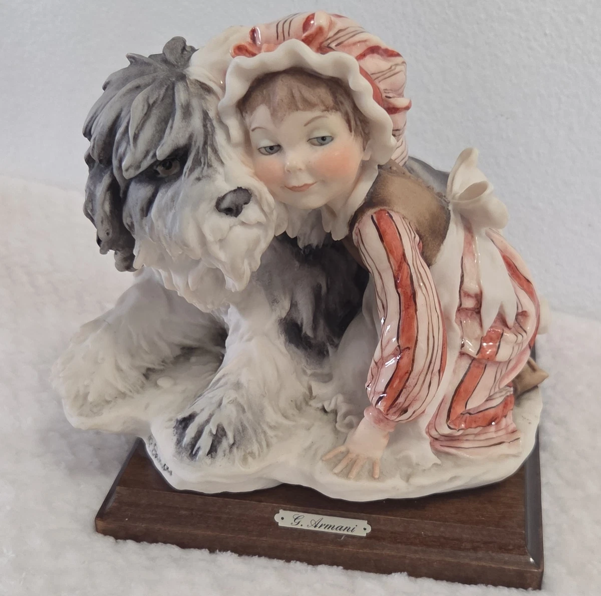 Armani Dog | eBay