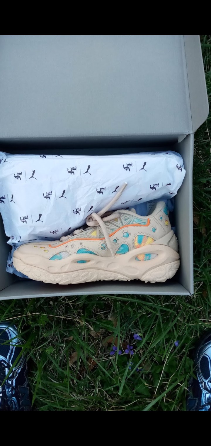 Beige Orange Blue Yellow Lace Up Low Top