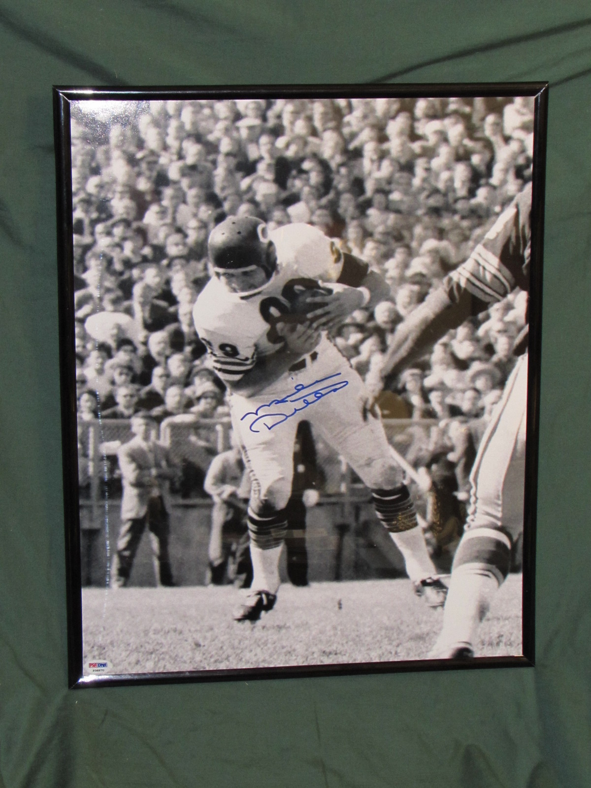 Mike Ditka Autographed Signed Chicago Bears 16x20 B/W Photo in Poster Frame PSA/DNA 