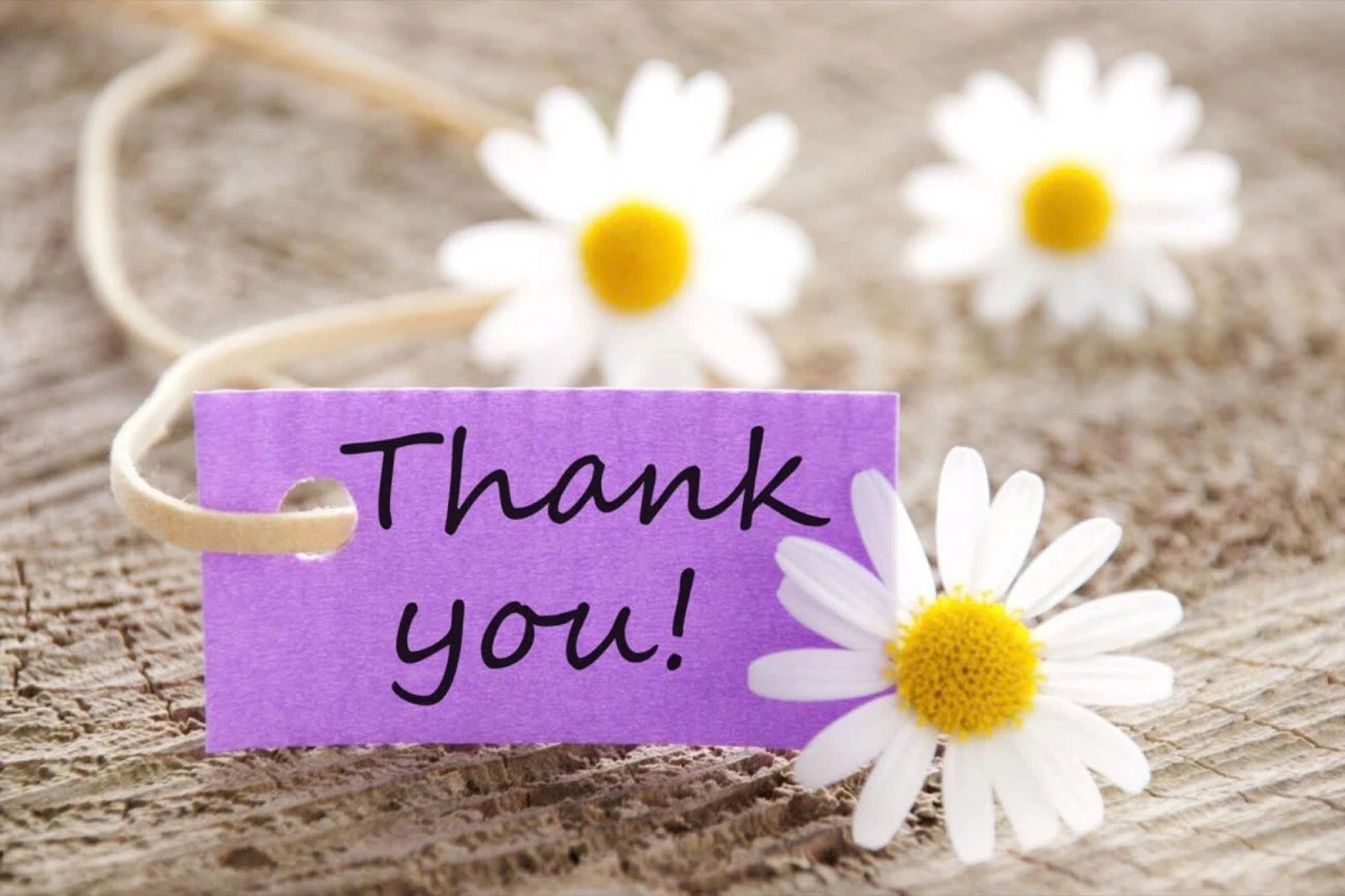 Hit Me Hard and Soft Billie Eilish Tour 2025 T-shirt