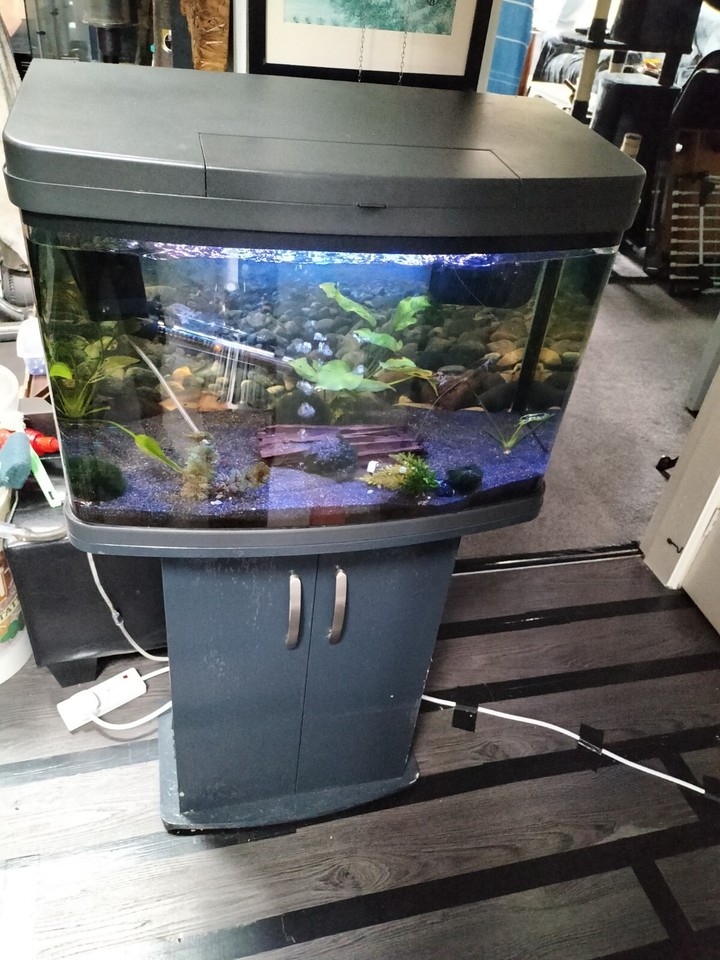 Love Fish Panorama Aquarium 40 Litre Fish Tank Black LED Lighting