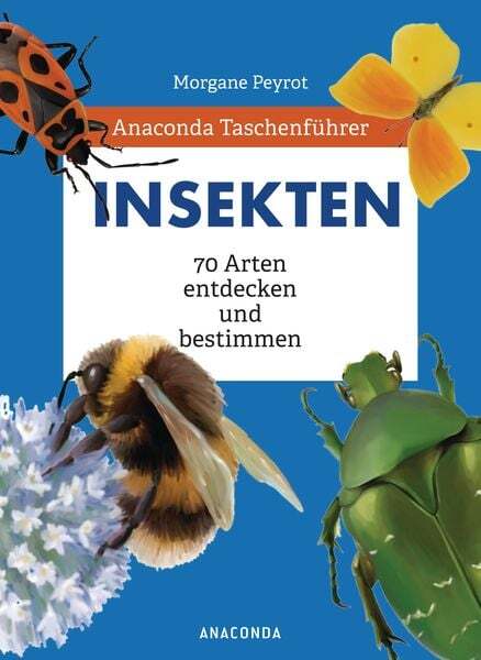Thumbnail - Anaconda Taschenführer Insekten. 70 Arten Entdecken Und Bestimmen