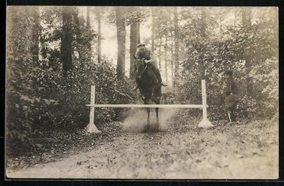 Photo postcard horse jumping over an obstacle in the forest 