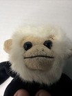 Original Ty Beanie Baby Mooch The Monkey RETIRED RARE MINT 1998 with Miss Spell — photo 10