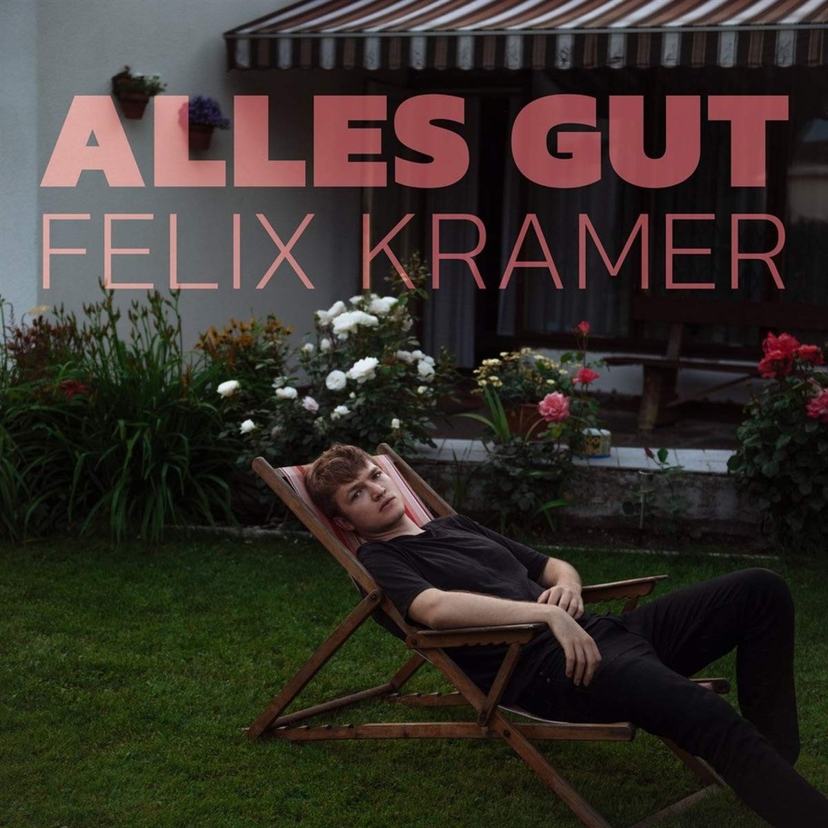 Felix Kramer Alles Gut (Vinyl LP)