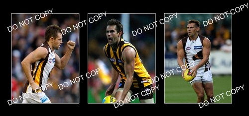 LUKE HODGE HAWTHORN FC 3 LARGE 8x6 ACTION PHOTOS - 第 1/1 張圖片