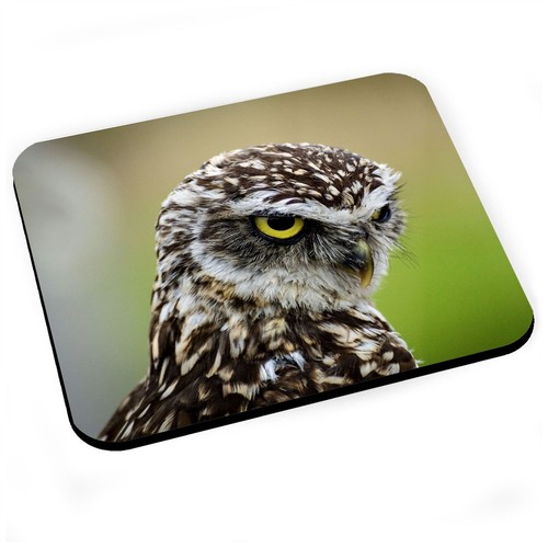 LOOXIS Tapis de Souris personnalisé avec Photo, à Personnaliser et à