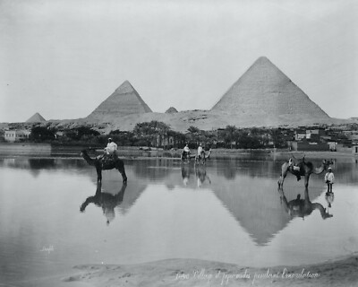 Egypt pyramids village flood water Egyptian camel 8X10 Photo Picture Image #A3