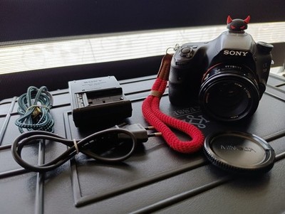 Sony Alpha SLT A58 + Minolta AF 50mm f/1.7 + 80-200mm + Sony SAM II 18-55MM