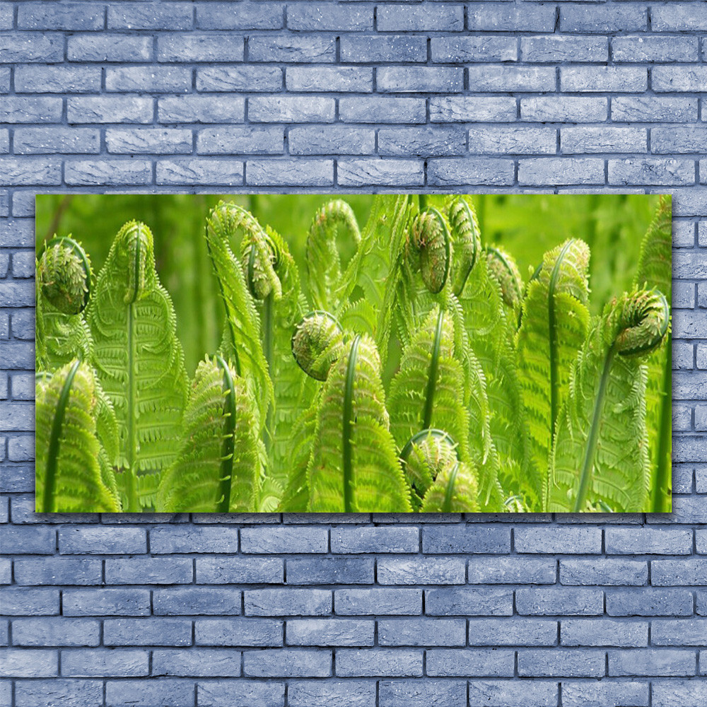 Tableau sous verre 140x70 cm Floral Plante pour décoration murale de salon