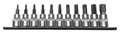 11 x Steckschlüssel Bit Satz TORX T-Profil T10- T60 Einsätze auf Steckleiste 3/8