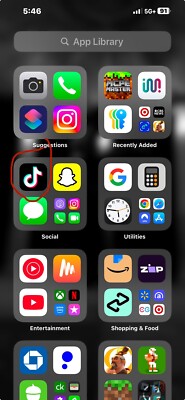 iPhone 13 Pro Max With TikTok Install