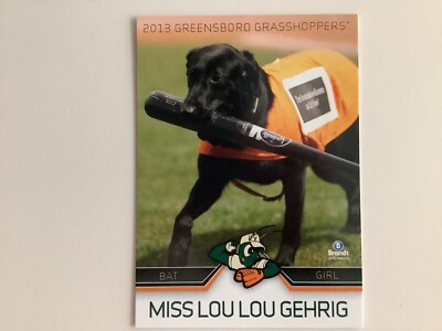 2013 GREENSBORO GRASSHOPPERS BAT GIRL DOG MASCOT CARD, BLACK LAB MISS LOU GEHRIG
