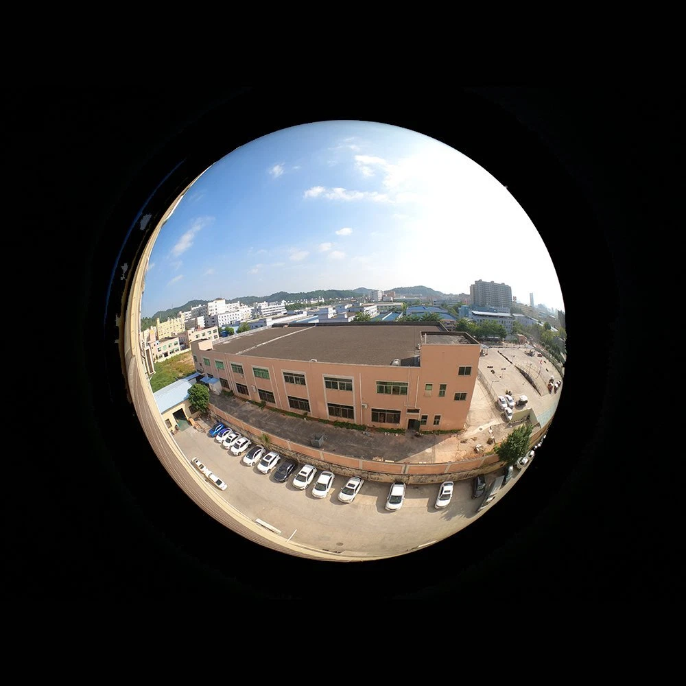 Gopro fisheye cheap