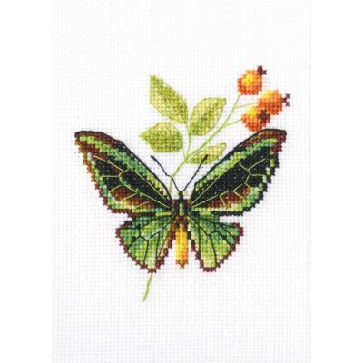 Grille broderie point de croix DMC Fleurs et papillons  - Loisirs