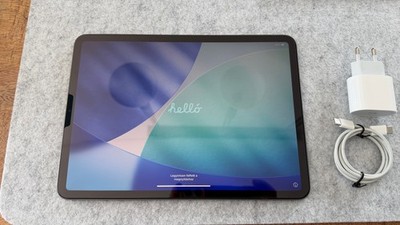 Apple iPad Pro 11  256 GB Gen 1 WLAN Space Grau   Top Zustand