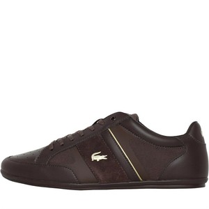 lacoste chaymon tech